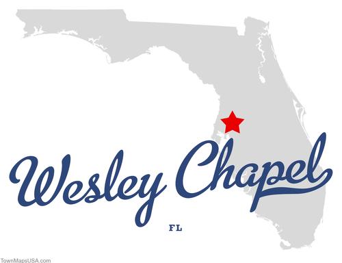 Pool Service - Pool Maintenance in Wesley Chapel FL