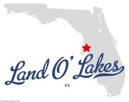 Land O Lakes Pool Maintenance FL
